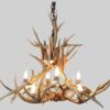 Medium Ponderosa Mule Deer Antler Chandelier