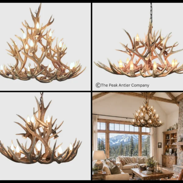 Bristlecone Series Mule Deer Antler Chandeliers