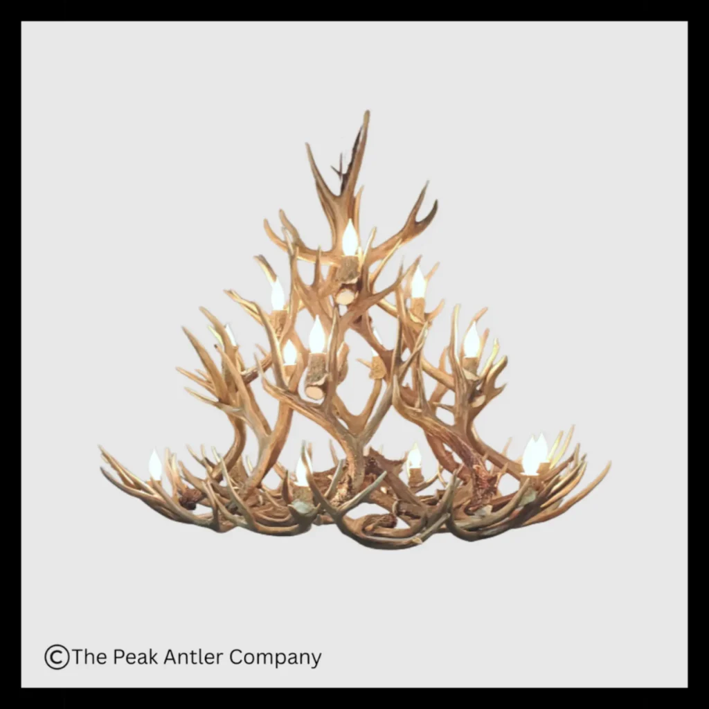 508-Bristlecone-Series-Mule-Deer-Antler-Chandeliers