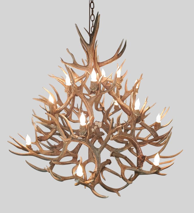 top view looking down on large mule deer bristlecone chandelier