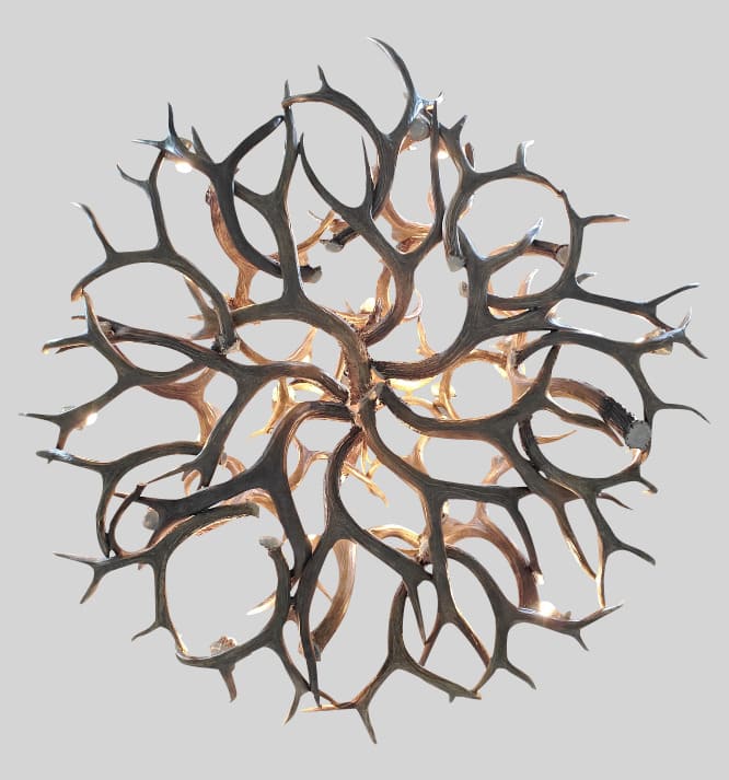 bottom view of bristlecone large chandelier