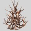 top view looking down on small bristlecone mule deer light fixture