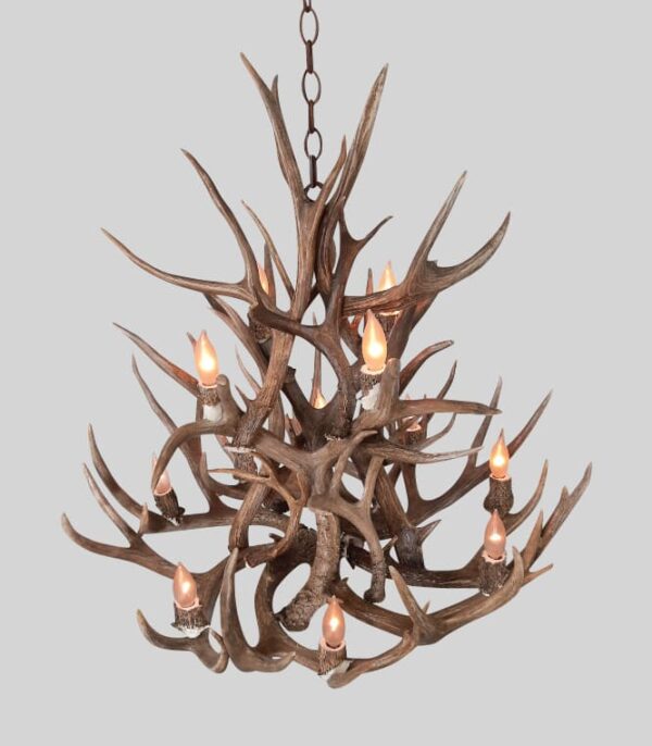 top view looking down on small bristlecone mule deer light fixture
