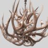 bottom view of small bristlecone chandelier