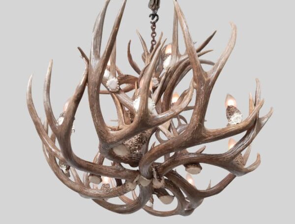 bottom view of small bristlecone chandelier