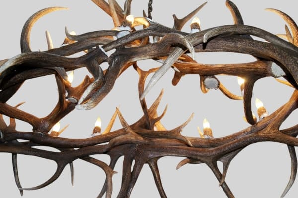 bottom view of haymen antler chandelier
