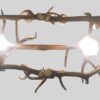 bottom view of snowmass elk with horse tack