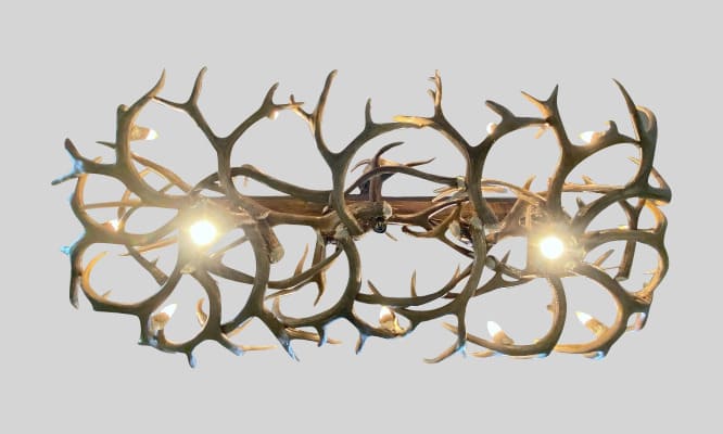 bottom view of our large snowmass mule deer chandelier 