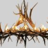 Oval hayman elk chandelier