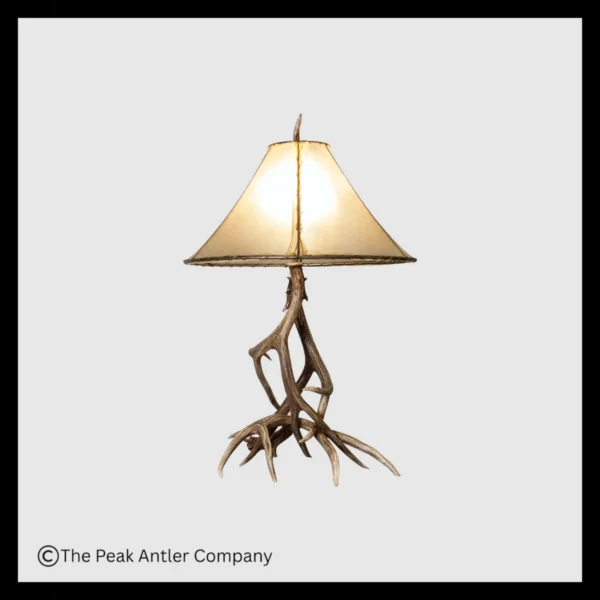 Mule Deer Antler Table Lamp Series