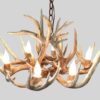 looking down on a medium whitetail chandelier the little bear medium