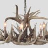 oval 8 light whitetail chandelier little bear