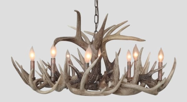 oval 8 light whitetail chandelier little bear