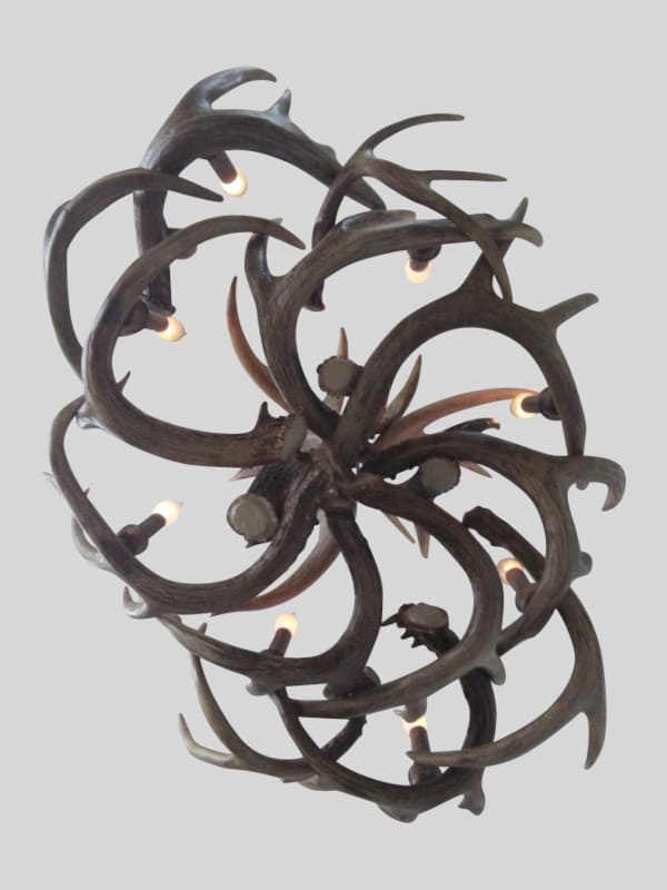 bottom view of our oval little bear peak chandelier 