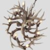 top view looking down on our little bear peak whitetail chandelier 