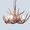 small four light little bear chandelier with whitetail antlers
