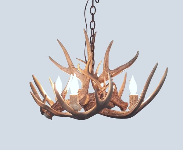small four light little bear chandelier with whitetail antlers