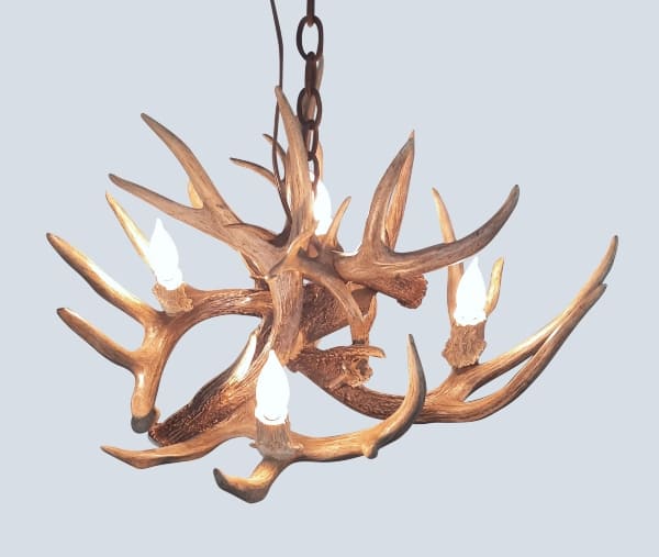 top view of a small little bear whitetail chandelier