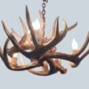bottom view of our small round whitetail chandelier little bear peak 