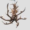 bottom view of large redcloud chandelier with elk antlers