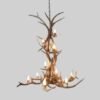 large redcloud peak elk chandelier