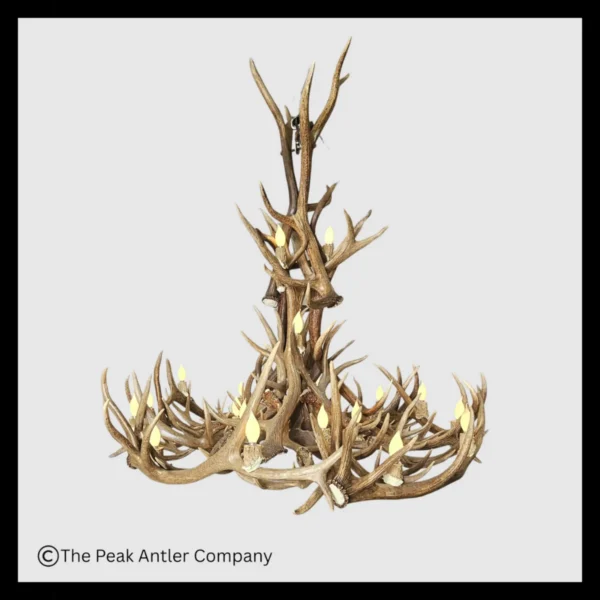 Mt Elbert Elk & Mule Deer Series Antler Chandeliers