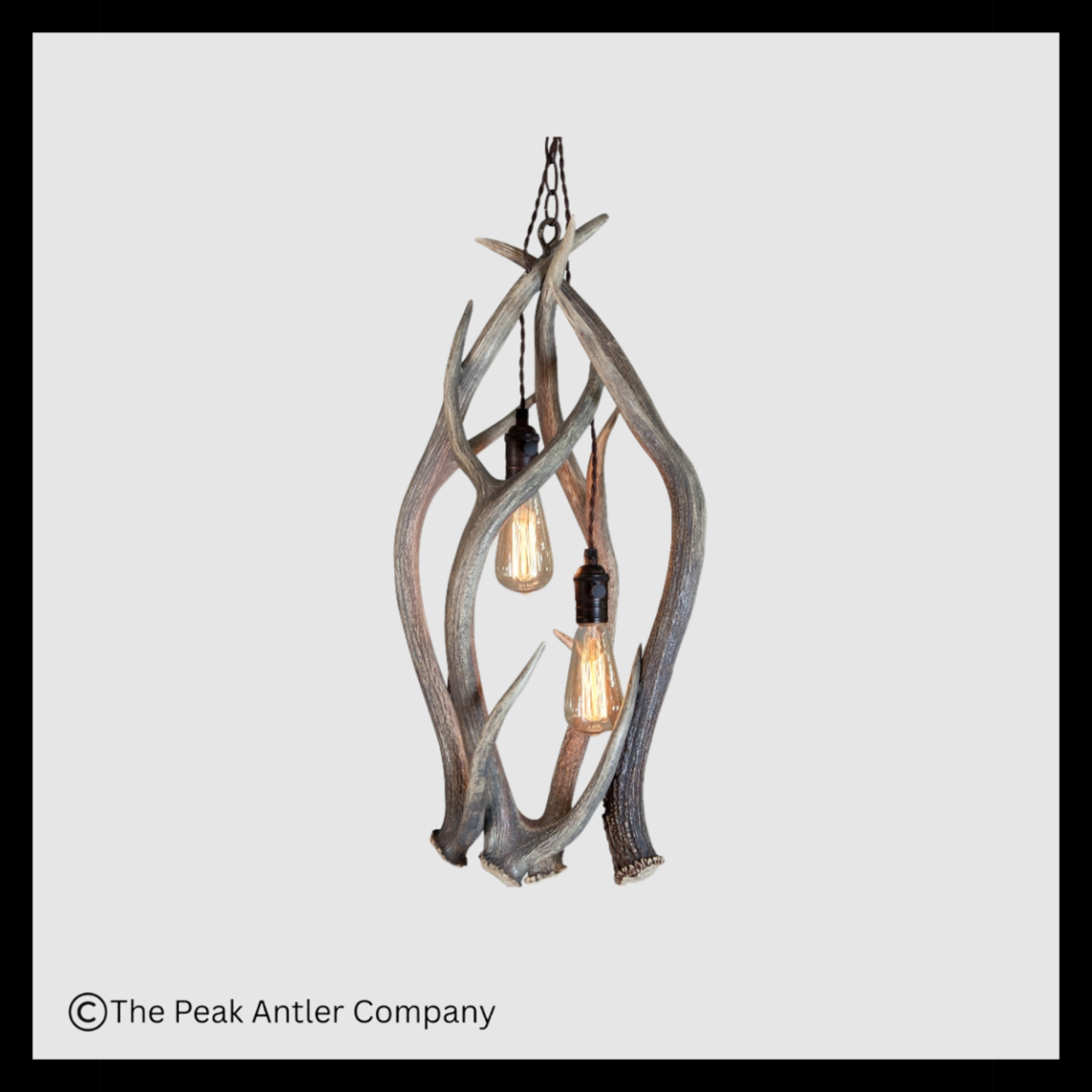 Box Canyon Falls Axis Deer Series Pendant Lights