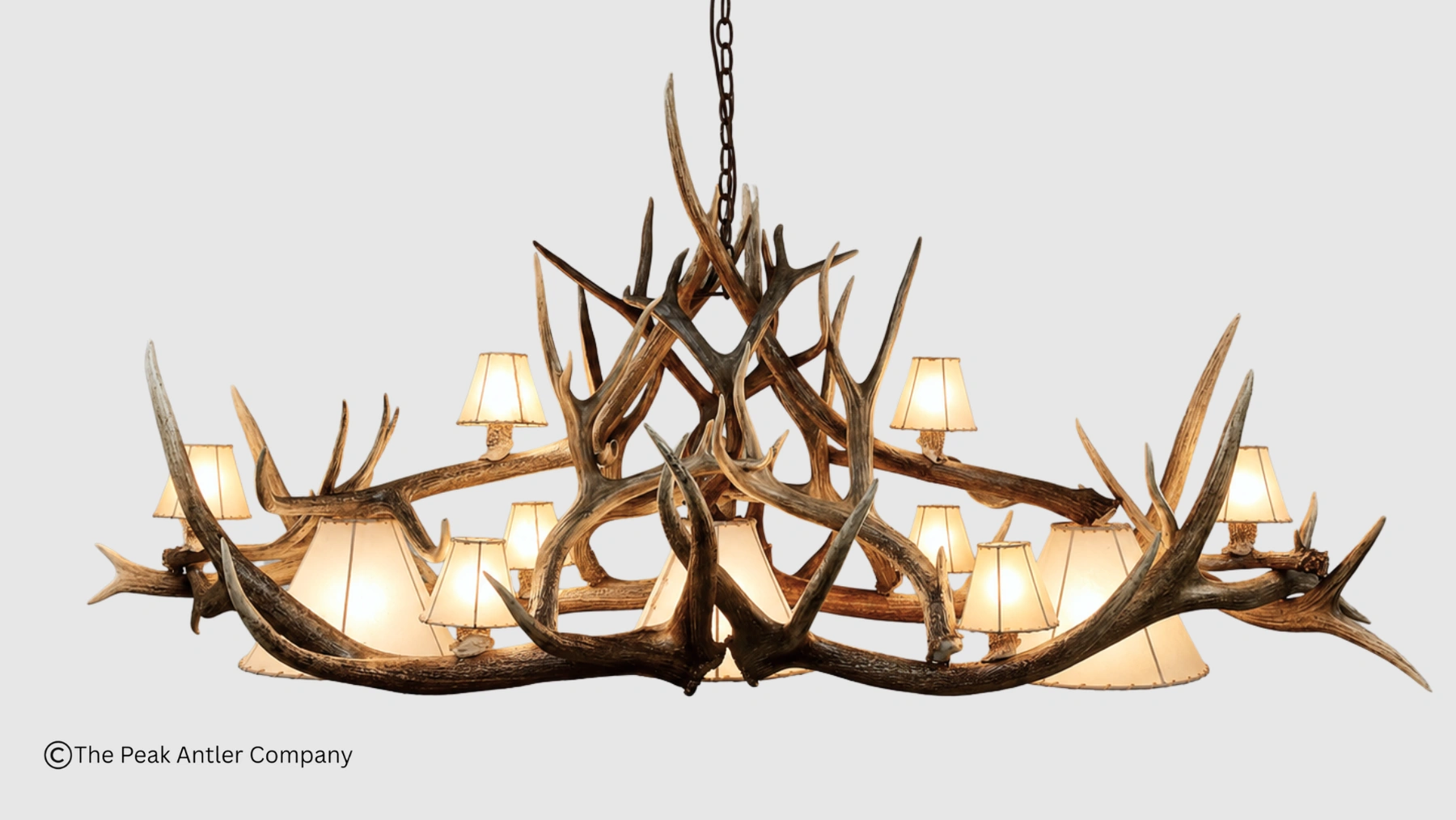 Oval elk & mule Deer antler chandelier with rawhide lampshades