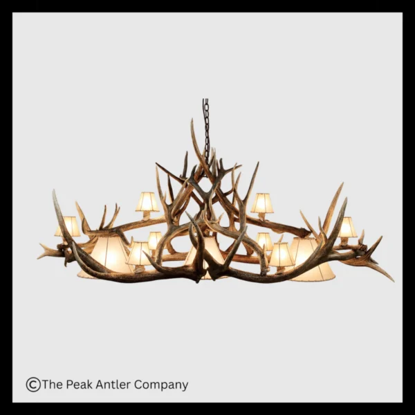 Mt Belford Elk & Mule Deer Chandelier