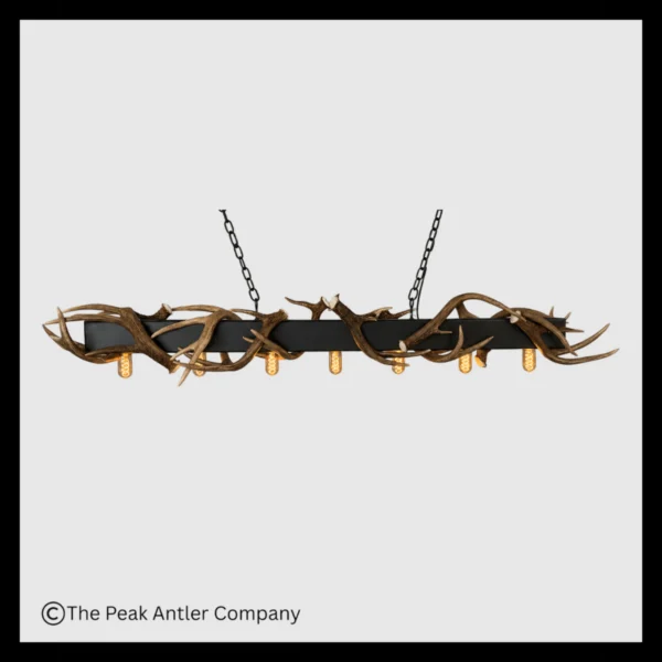 Modern Whitetail Antler Chandelier with Metal Beam