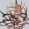 bottom view of a medium 2 tier la plata peak whitetail antler chandelier
