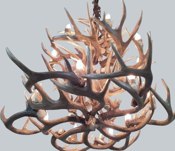 bottom view of a medium 2 tier la plata peak whitetail antler chandelier
