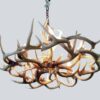 bottom view of our small la plata peak whitetail antler chandelier 