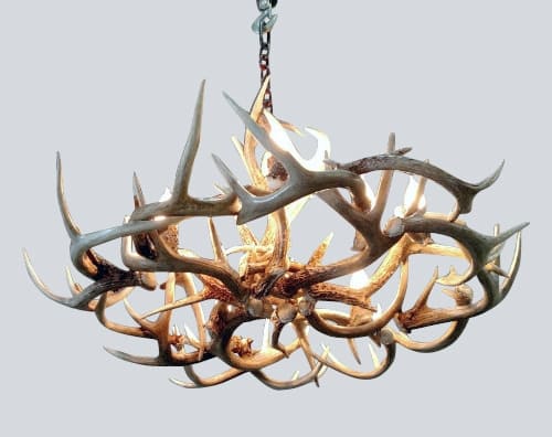 bottom view of our small la plata peak whitetail antler chandelier 