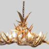 small whitetail antler chandelier la plata peak with eight lights