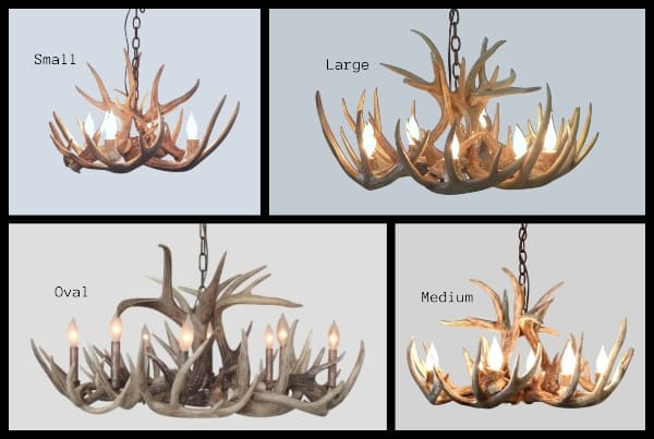 little bear peak series whitetail antler chandeliers