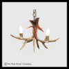 Whitetail Pendant Light