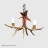small 3 light Whitetail Pendant Light