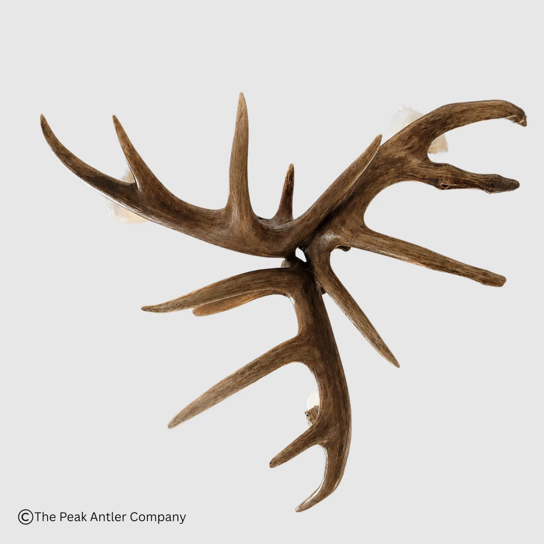 bottom view of the small three antler three light Whitetail Pendant Light