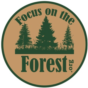 Focus on the forest logo