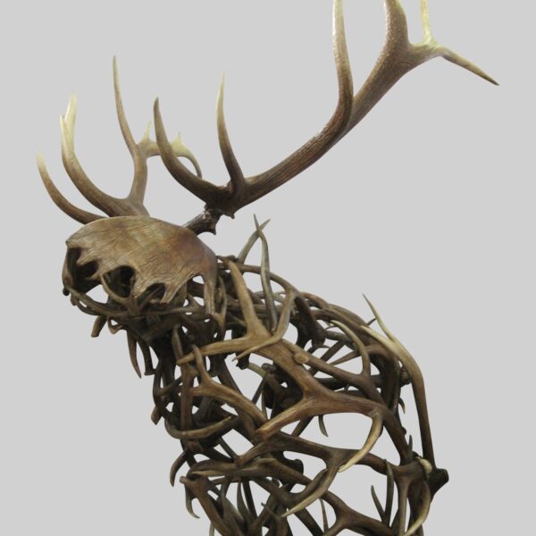 Sir Lancelot - Elk Head Wall Mount Sculpture