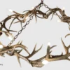 looking down on the round halo mule deer antler chandelier