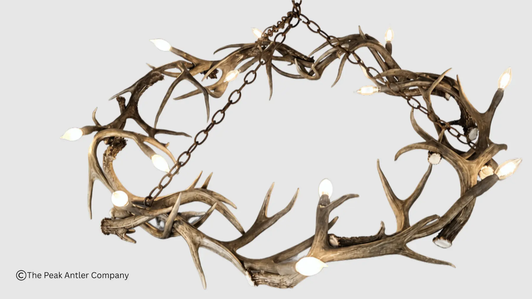 looking down on the round halo mule deer antler chandelier