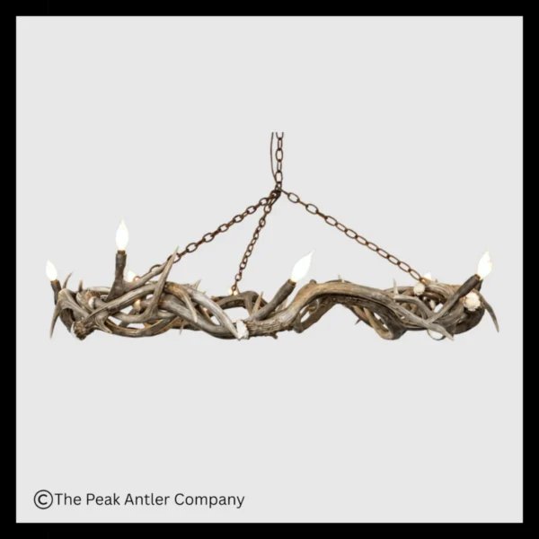 Halo Mule Deer Antler Chandelier
