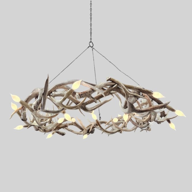 looking up a a halo mule deer antler chandelier