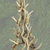 angled view of the medium mini tree