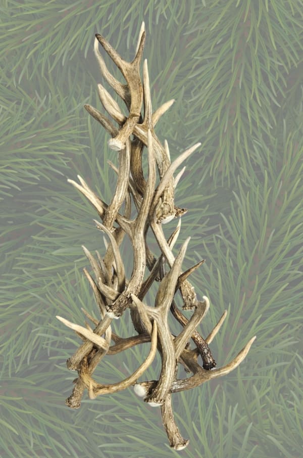 angled view of the medium mini tree
