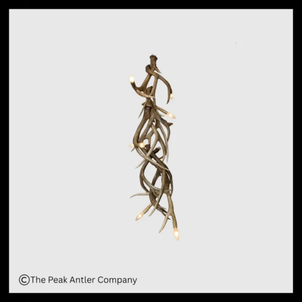 Mt Oso Mule Deer Antler Chandelier