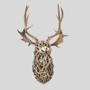 Life-Sized Wall-Mounted Mule Deer Bust