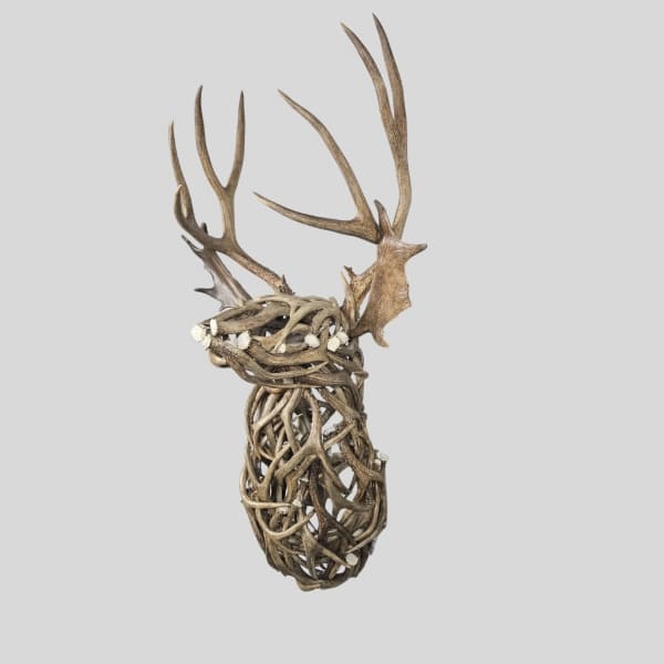 life sized mule deer wall mount bust made out of mule deer antlers